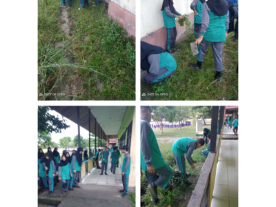 Nanga Pinoh, 12 Januari 2024 Kerja Bakti Membersihkan Lingkungan Madrasah 